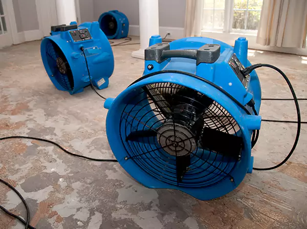 Water Damage Reconstruction in Sautee Nacoochee