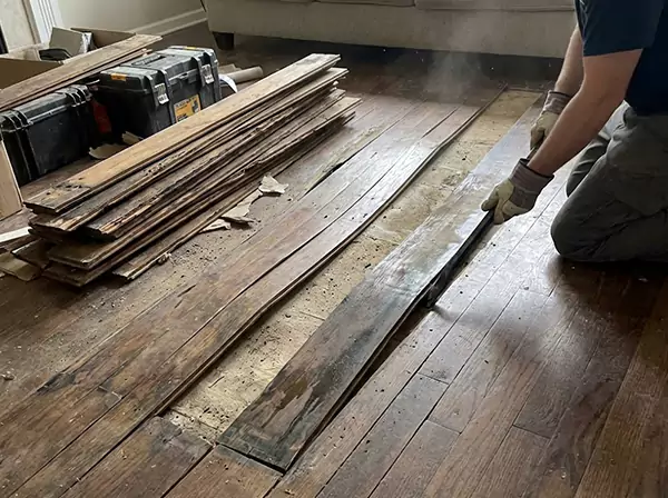 Water Damage Drying in Sautee Nacoochee