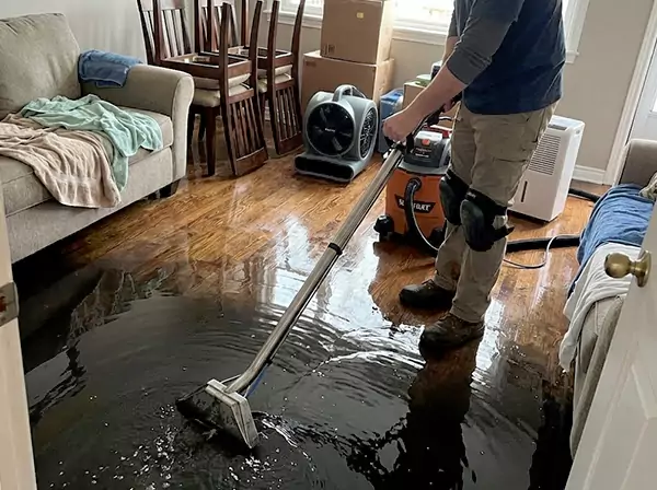 Water Leak Cleanup in Sautee Nacoochee, GA