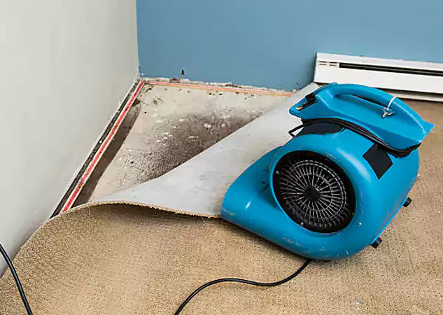 Your Water Damage Experts in Sautee Nacoochee, GA