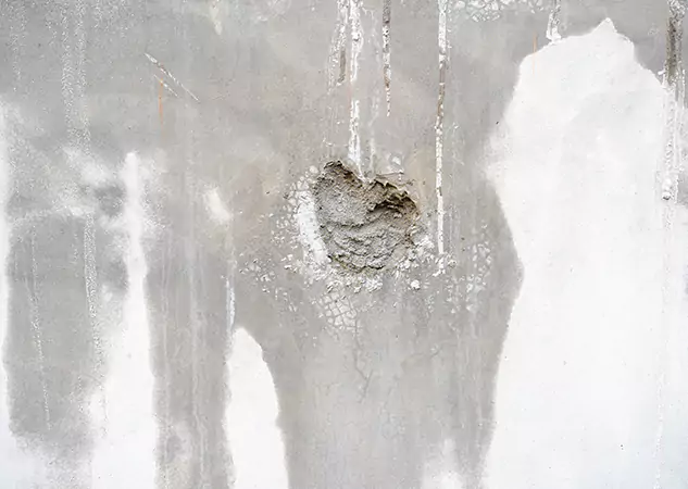 Your Mold Mitigation Solutions Partner in Sautee Nacoochee, GA