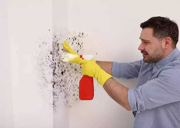 Your Water Mold Fire Restoration Partner in Sautee Nacoochee, GA