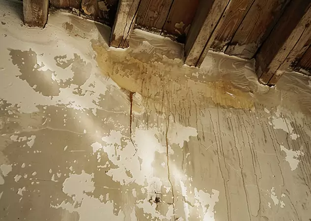 Your Trusted Restoration Company in Sautee Nacoochee, GA