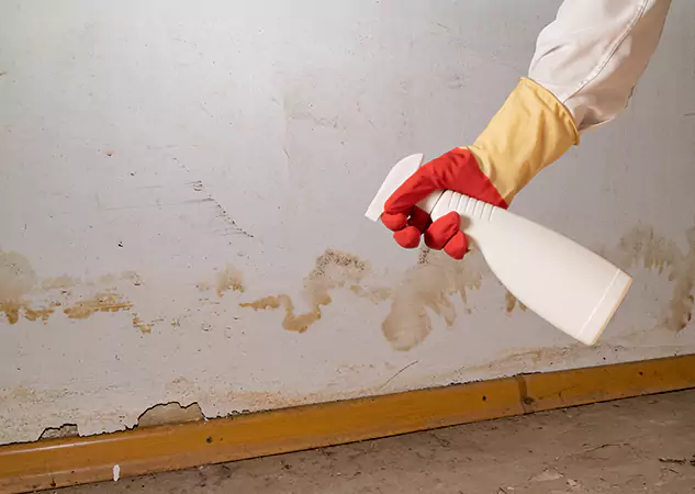 Your Water Restoration and Mold Remediation Specialists in Sautee Nacoochee, GA