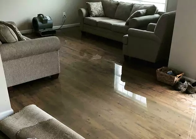 Your Trusted Restoration Company in Sautee Nacoochee, GA