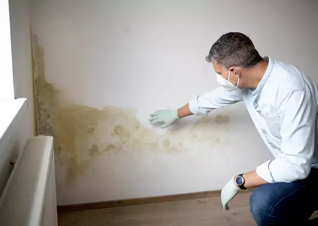 Reach Our Remediation Team Before Damage Grows in Sautee Nacoochee, GA!