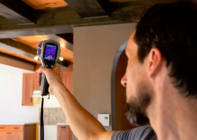 Trusted Water Damage Evaluation: Your Certified Partner in Sautee Nacoochee, GA