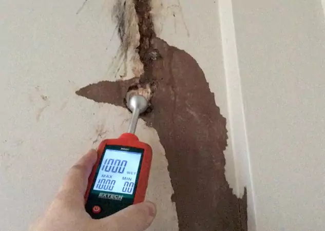 Your Water Damage Assessment Partner in Sautee Nacoochee, GA