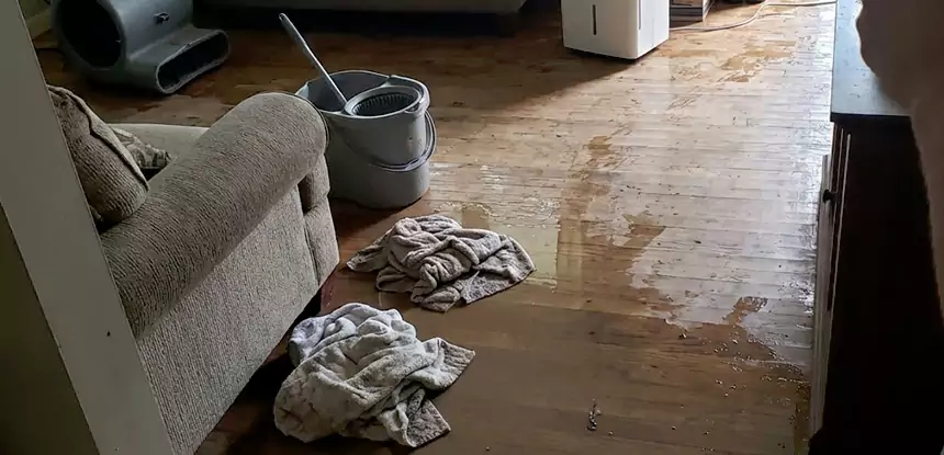 Professional Basement Water Remediation Services in Sautee Nacoochee, GA