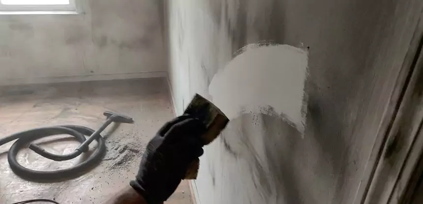 Professional Water and Fire Damage Restoration Services in Sautee Nacoochee, GA