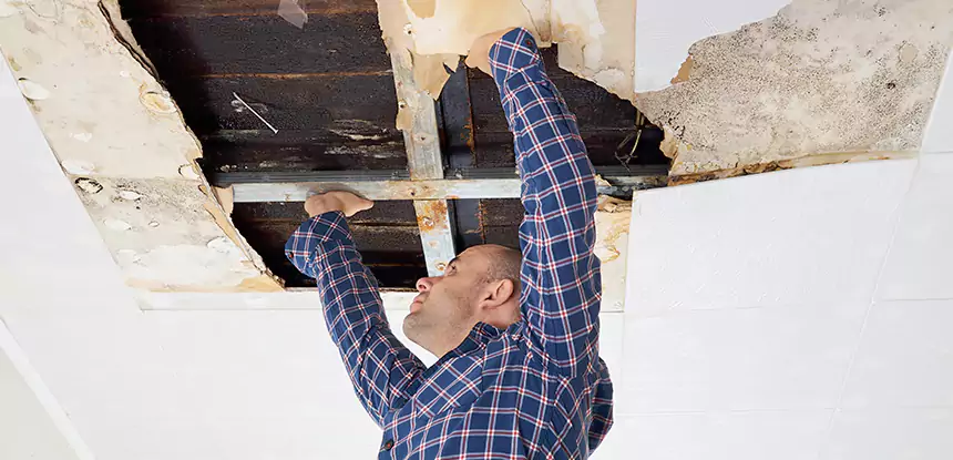 Attic Wood Rot Repair in Sautee Nacoochee