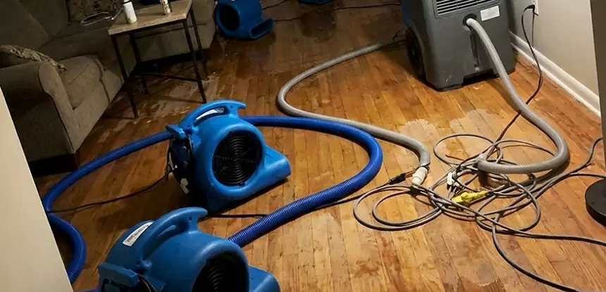 Basement Flood Restoration Services in Sautee Nacoochee