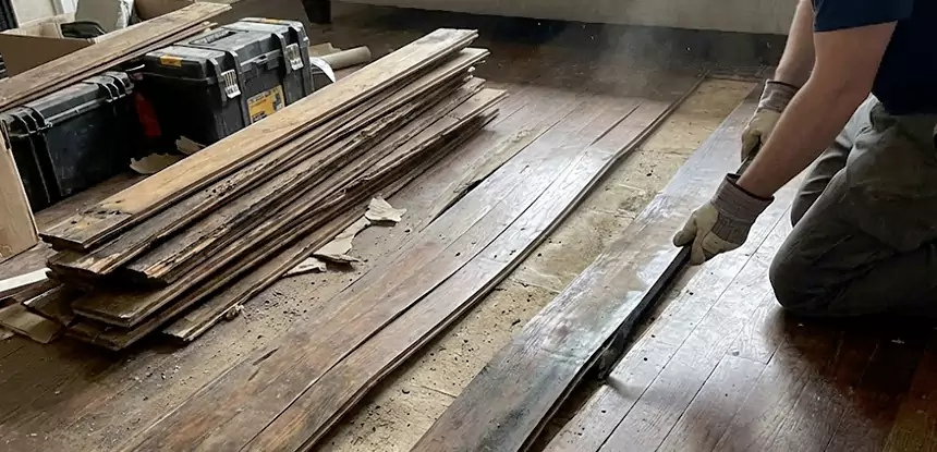 Wood Rot and Fungus Repair in Sautee Nacoochee