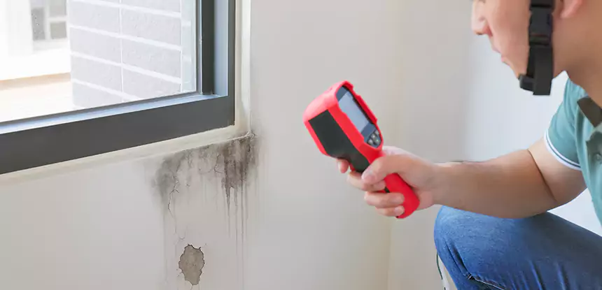 Wall Texture Repair After Mold in Sautee Nacoochee