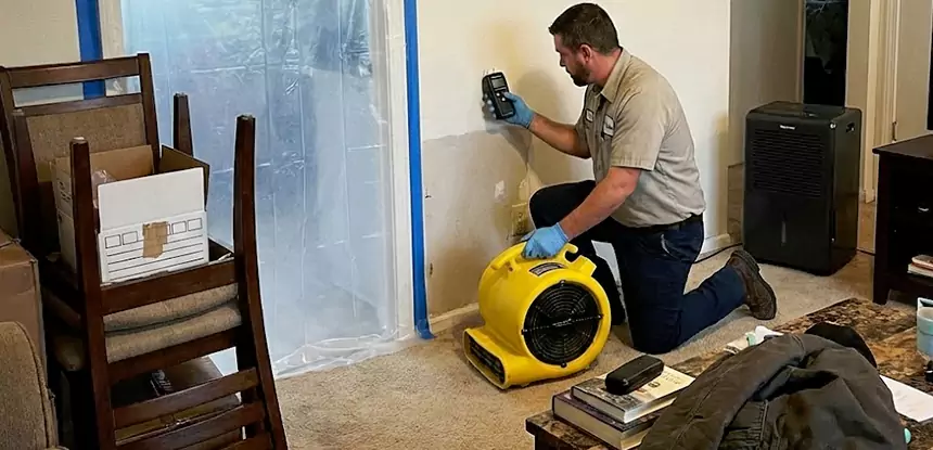 Carpet Water Damage Repair Sautee Nacoochee
