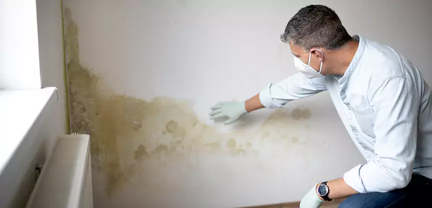 Mold and Water Damage Repair in Sautee Nacoochee