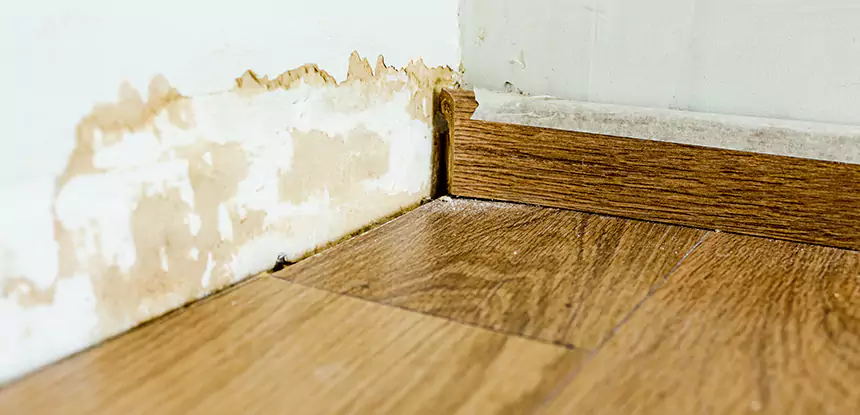 Professional Fix Water Damaged Wood Services in Sautee Nacoochee, GA