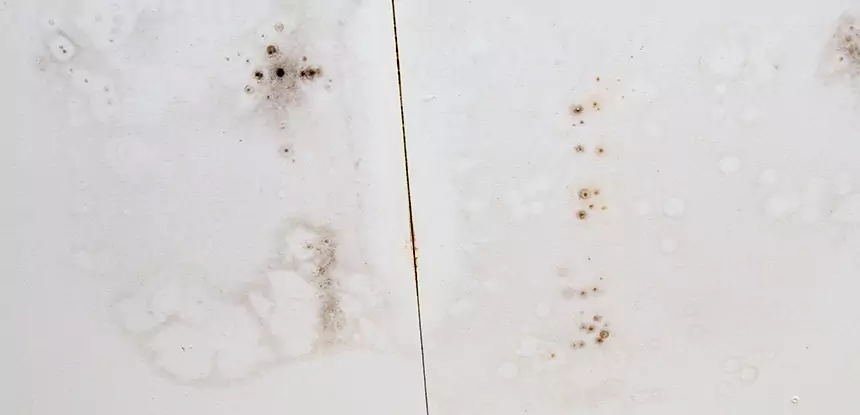 Professional Water Stain Repair Services in Sautee Nacoochee, GA