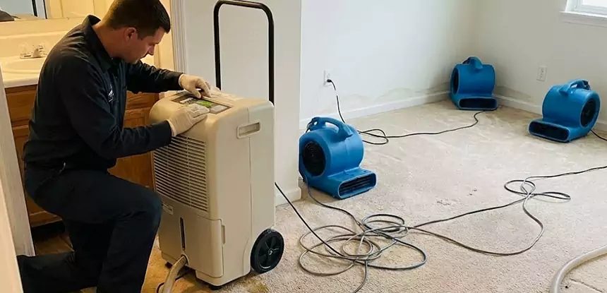 Professional Wet Carpet Removal Services in Sautee Nacoochee, GA