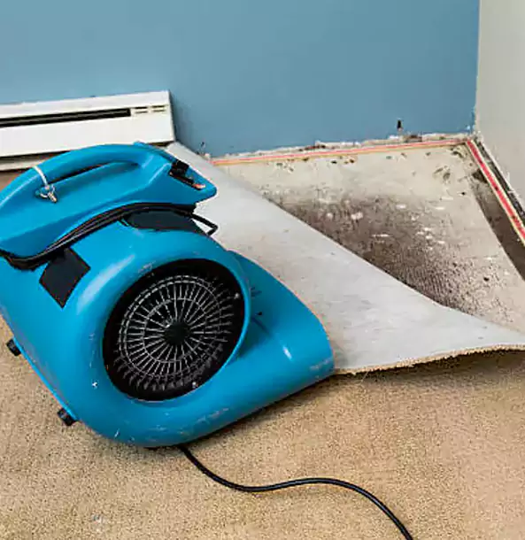 Why Sautee Nacoochee Trusts Sautee Nacoochee Restoration Pro for Carpet Flood Recovery?