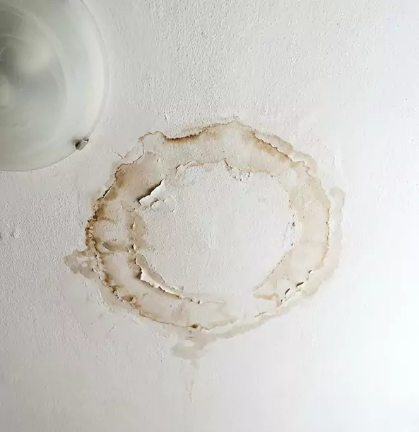 Why Sautee Nacoochee Property Owners Choose Sautee Nacoochee Restoration Pro for Ceiling Water Damage Restoration?