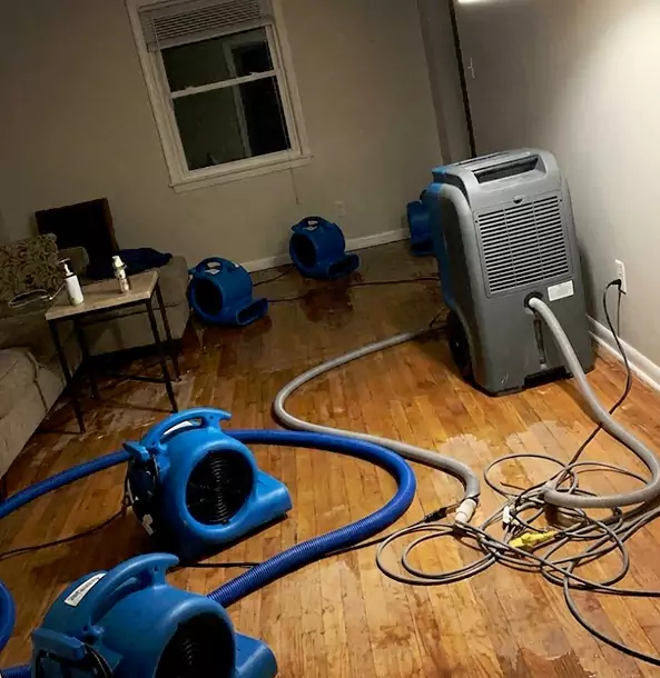 Why Sautee Nacoochee Calls Sautee Nacoochee Restoration Pro First for Emergency Restoration?