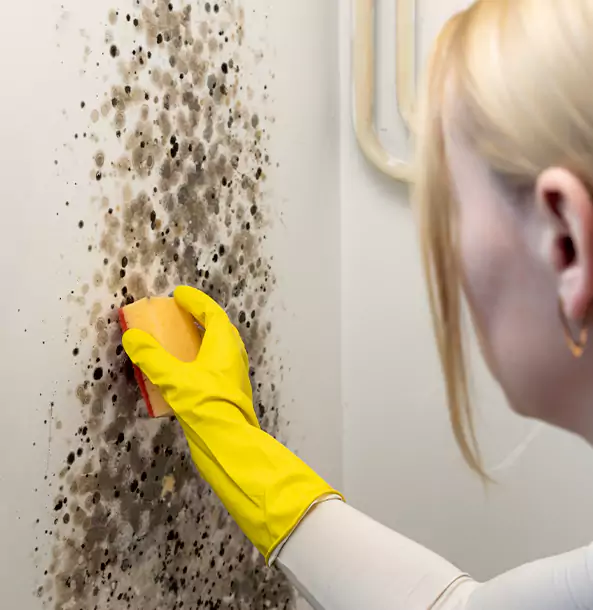 Why Sautee Nacoochee Restoration Pro Leads Mold Remediation in Sautee Nacoochee?