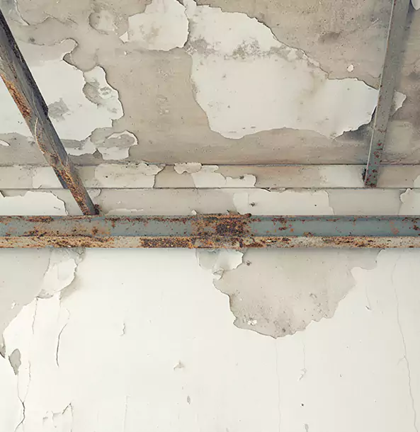 Why Sautee Nacoochee Restoration Pro Is the Right Choice in Sautee Nacoochee, GA?