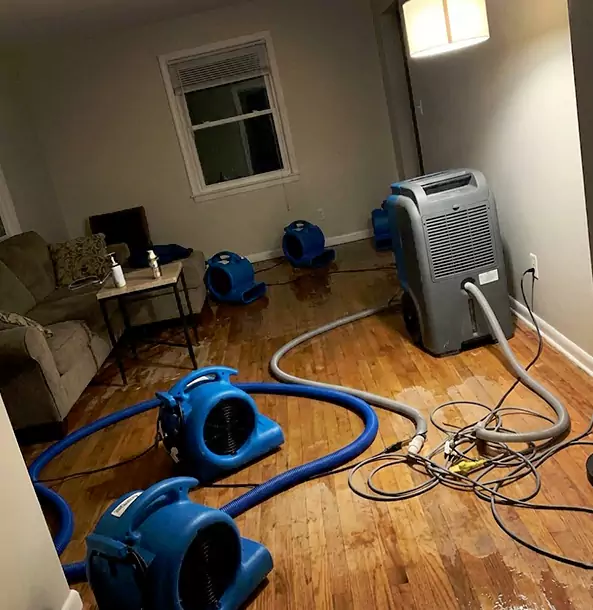 Why Sautee Nacoochee Property Owners Rely on Sautee Nacoochee Restoration Pro for Remediation?