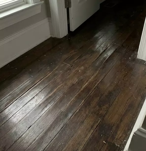 Why Sautee Nacoochee Homeowners Trust Sautee Nacoochee Restoration Pro to Fix Water Damaged Wood?