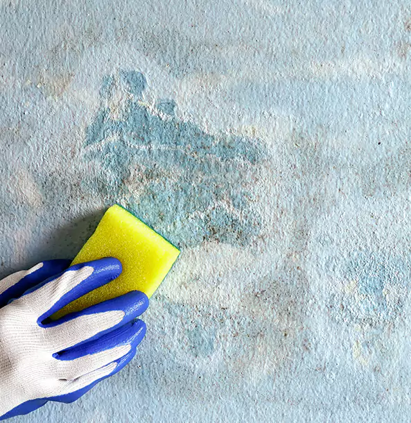 Why Sautee Nacoochee Restoration Pro Is the Right Choice in Sautee Nacoochee, GA?