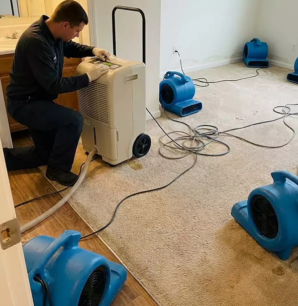 Why Sautee Nacoochee Homeowners and Businesses Trust Sautee Nacoochee Restoration Pro for Carpet Drying?