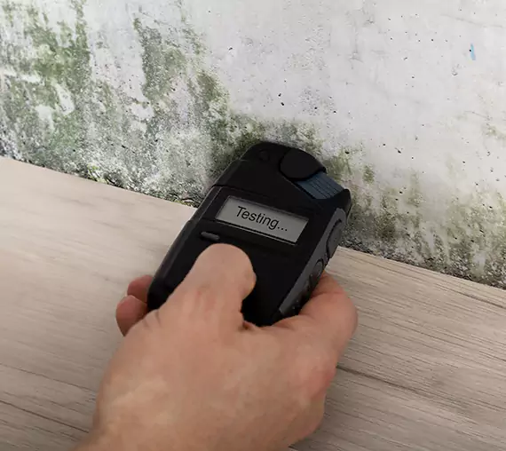 Mold Remediation Service Sautee Nacoochee