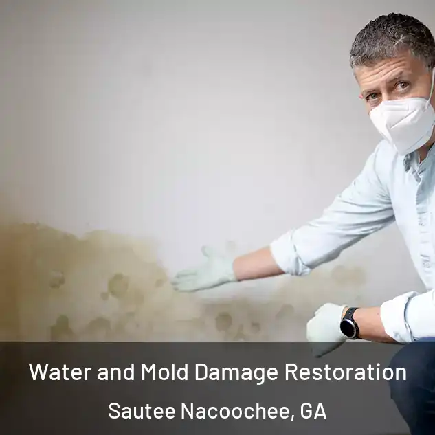  Water and Mold Damage Restoration Sautee Nacoochee, GA