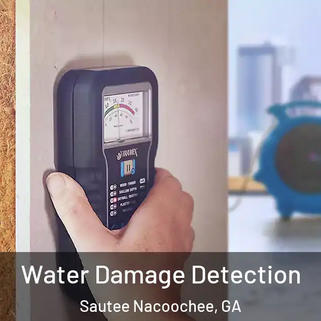  Water Damage Detection Sautee Nacoochee, GA