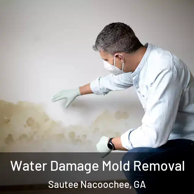  Water Damage Mold Removal Sautee Nacoochee, GA