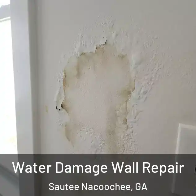 Water Damage Wall Repair Sautee Nacoochee, GA
