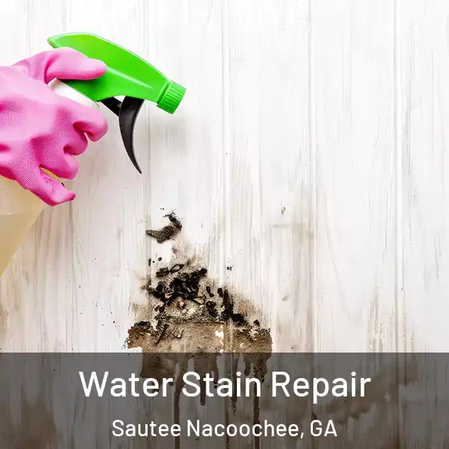  Water Stain Repair Sautee Nacoochee, GA