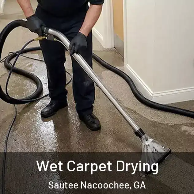  Wet Carpet Drying Sautee Nacoochee, GA